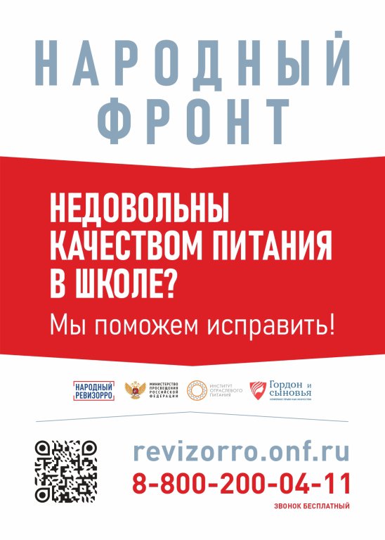 Проект «Народный ревизорро».